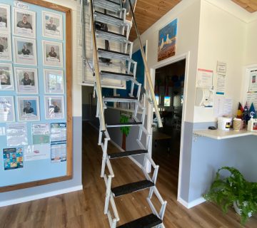 Electric attic ladder