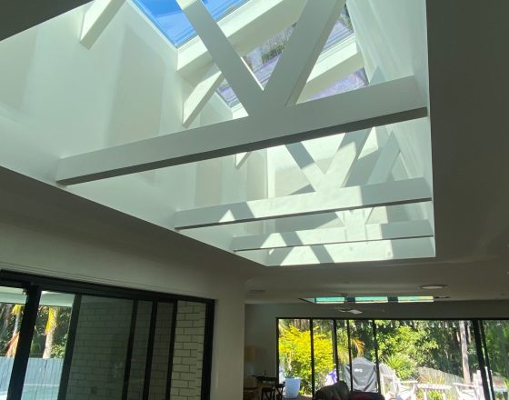 Velux exposed trusses